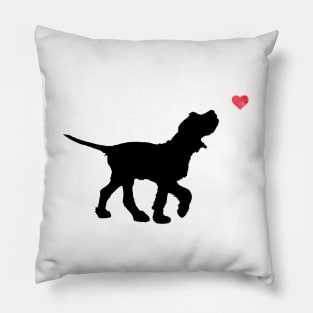 Italian Spinone Pillow