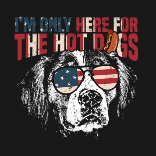 Brittany Spaniel Funny 4th of July T-Shirt