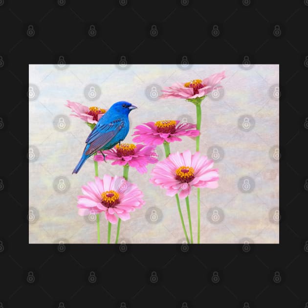 Indigo Bunting and Pink Zinnia by lauradyoung