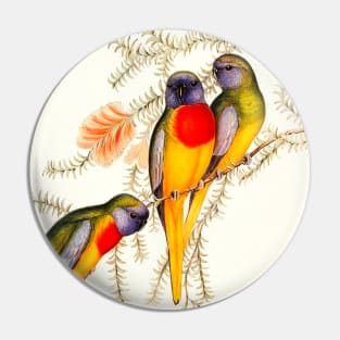 Splendid Grass-Parakeet Pin