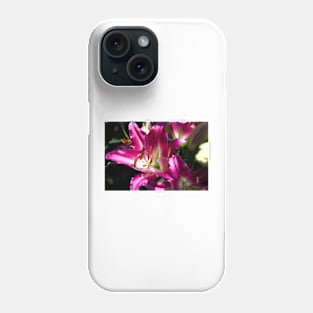 850_4502 Phone Case