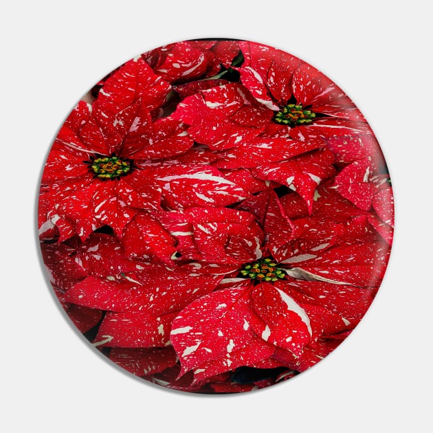 Red and White Flower Petals Pin by Vinit53