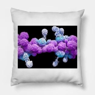 T cells attacking cancer cells (C025/6875) Pillow