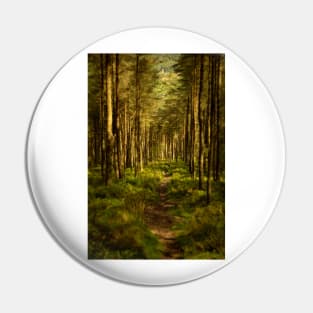 Foel Fynyddau Woodland - 2014 Pin