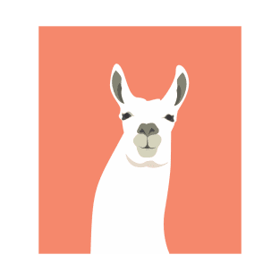 LLAMA PINK T-Shirt