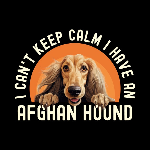 Afghan Hound by The Jumping Cart