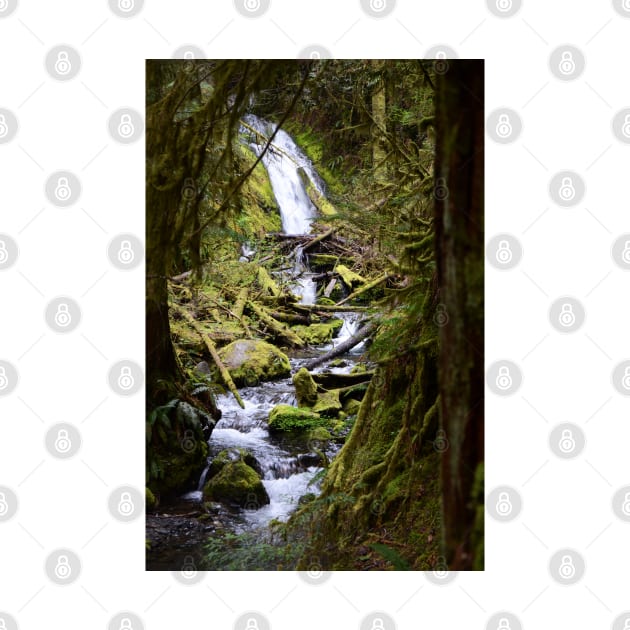 Woodsy Waterfall in the Hoh Rainforest by elisewied