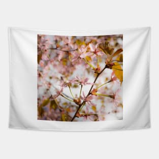 Cherry Blossom Tapestry