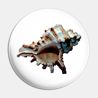 Dark grand conch seashell Pin