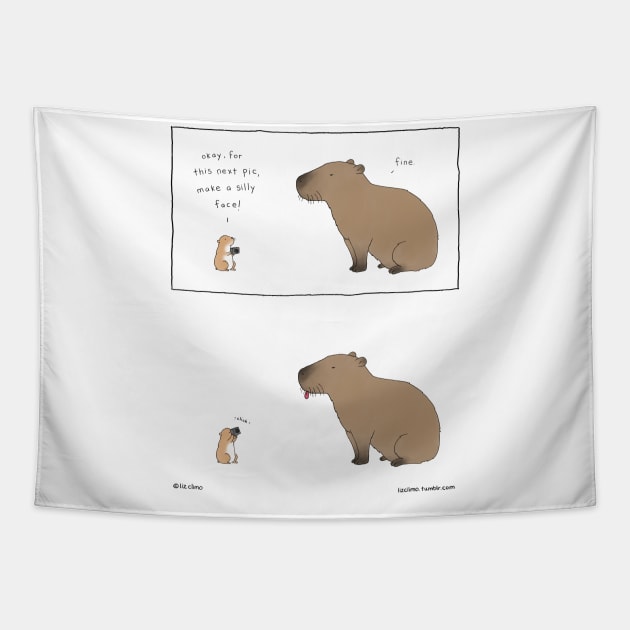 Silly Face Tapestry by Liz Climo