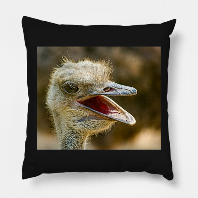 Ostrich, Chiang Mai Zoo, Thailand Pillow by bulljup