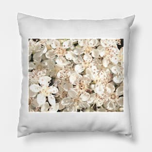 Spring Fling Pillow