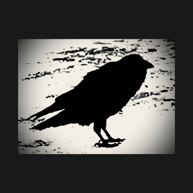 Crow /raven by Vomit Cult