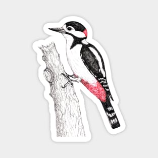 Great spotted woodpecker Magnet