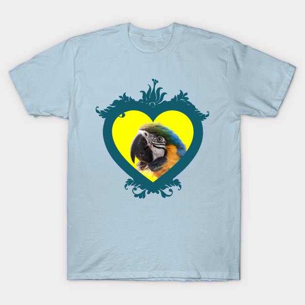 t shirt shaped frame