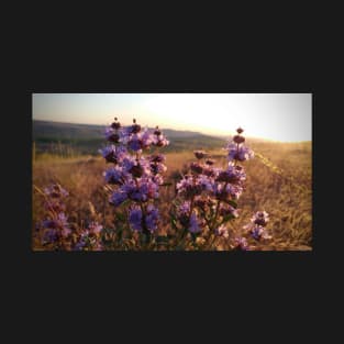 Purple Prairie Flower Sunset T-Shirt