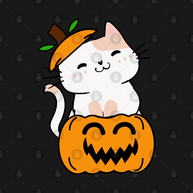 Funny Persian cat is in a pumpkin by Pet Station