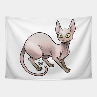 Cat - Sphinx Cat - Pink Tapestry