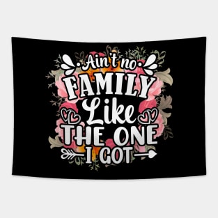 Ain't no family like the one i got funny family reunion 2022 Tapestry