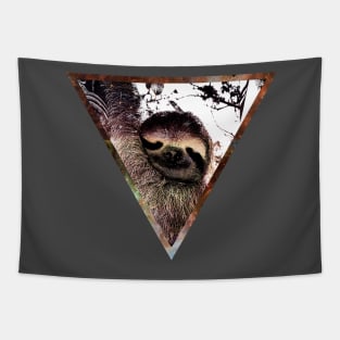 GalacticSloth Tapestry