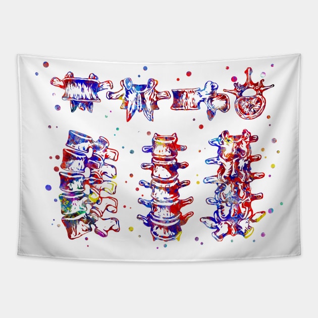 Lumbar spine structure Tapestry by RosaliArt