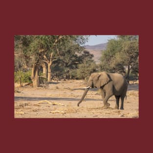 Namibia. Bushland. Elephant. T-Shirt