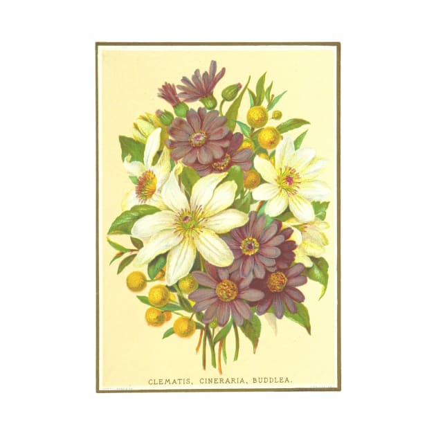 Clematis, Cineraria, Buddlea by Seventy Seven