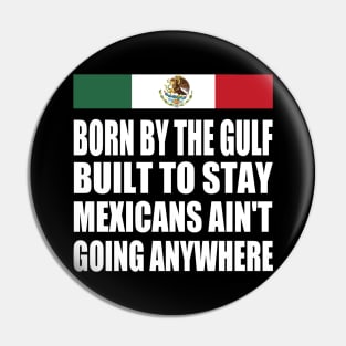 mexicans-aint-going-anywhere Pin