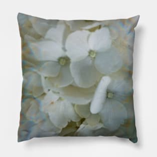 Prism Garden Pillow