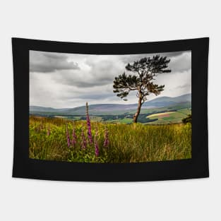 Lone Tree and Cheviots Tapestry