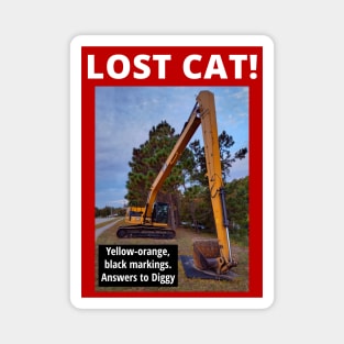 Lost CAT Magnet