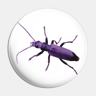 Purple Beetle Wharf Borer Pin