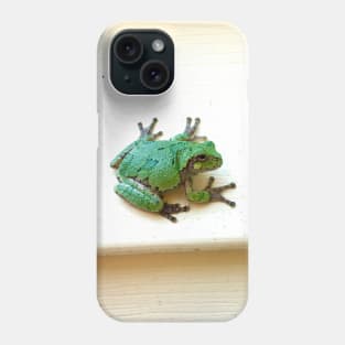 Angel Frog Phone Case