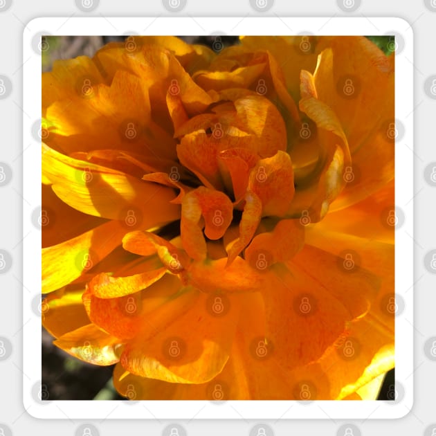 Fall Fire Flame - Photomersion - Sticker | TeePublic