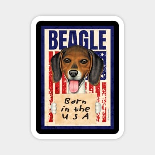 Beagle USA Flag Magnet