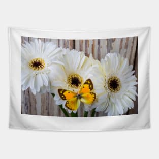 Dogface Butterfly Resting On White Daisy Tapestry