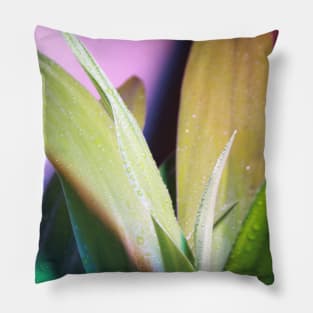 Leaves Pillow