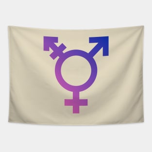 Transgender Symbol Tapestry