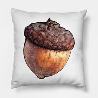 Watercolor Acorn Pillow