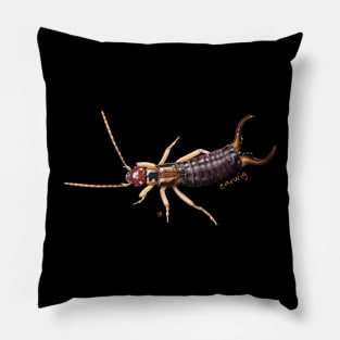 Earwig - Everyone's Favorite Insect! Pillow