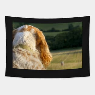 The Lookout Spinone Tapestry