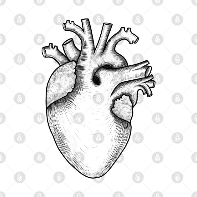 Human heart anatomy,I love my heart by Artardishop
