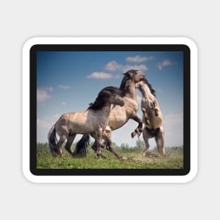 Dancing Horses Magnet