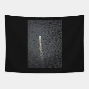 Depth Marker in a Lake Tapestry