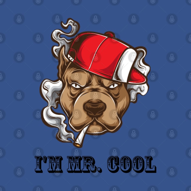 I'm Mr.cool by Dorran