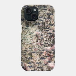 Old torn tree Phone Case