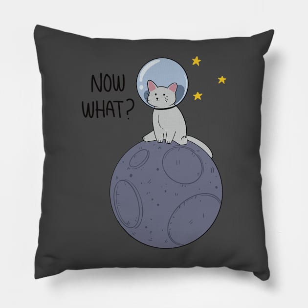 Now what? Pillow by Skyfrost Studio