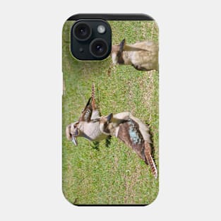 The Four Kookaburras! Phone Case