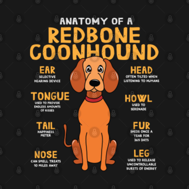 Download Anatomy of Redbone Coonhound Dog Lover Funny - Anatomy Of Redbone Coonhound Dog - Kids T-Shirt ...