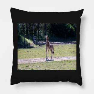 Baby Giraffe Pillow